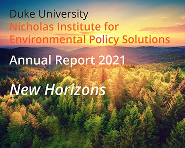 尼古拉斯研究所2021年年度報告-抓住時機