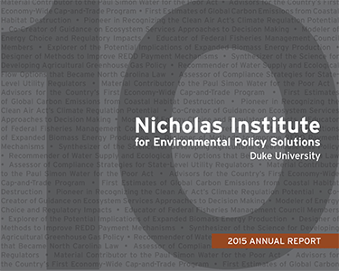 尼古拉斯研究所2015年度報告