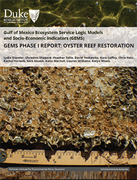 寶石 - 階段-i-Report-Oyster-Reef-Restoration-Cover
