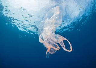 分析需要政策來解決海洋塑料汙染