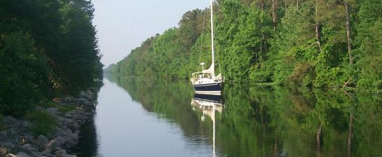 Great Dismal Swamp credit USACE